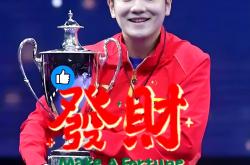 开云平台-中国队翻盘波兰队，樊振东统治全场的简单介绍