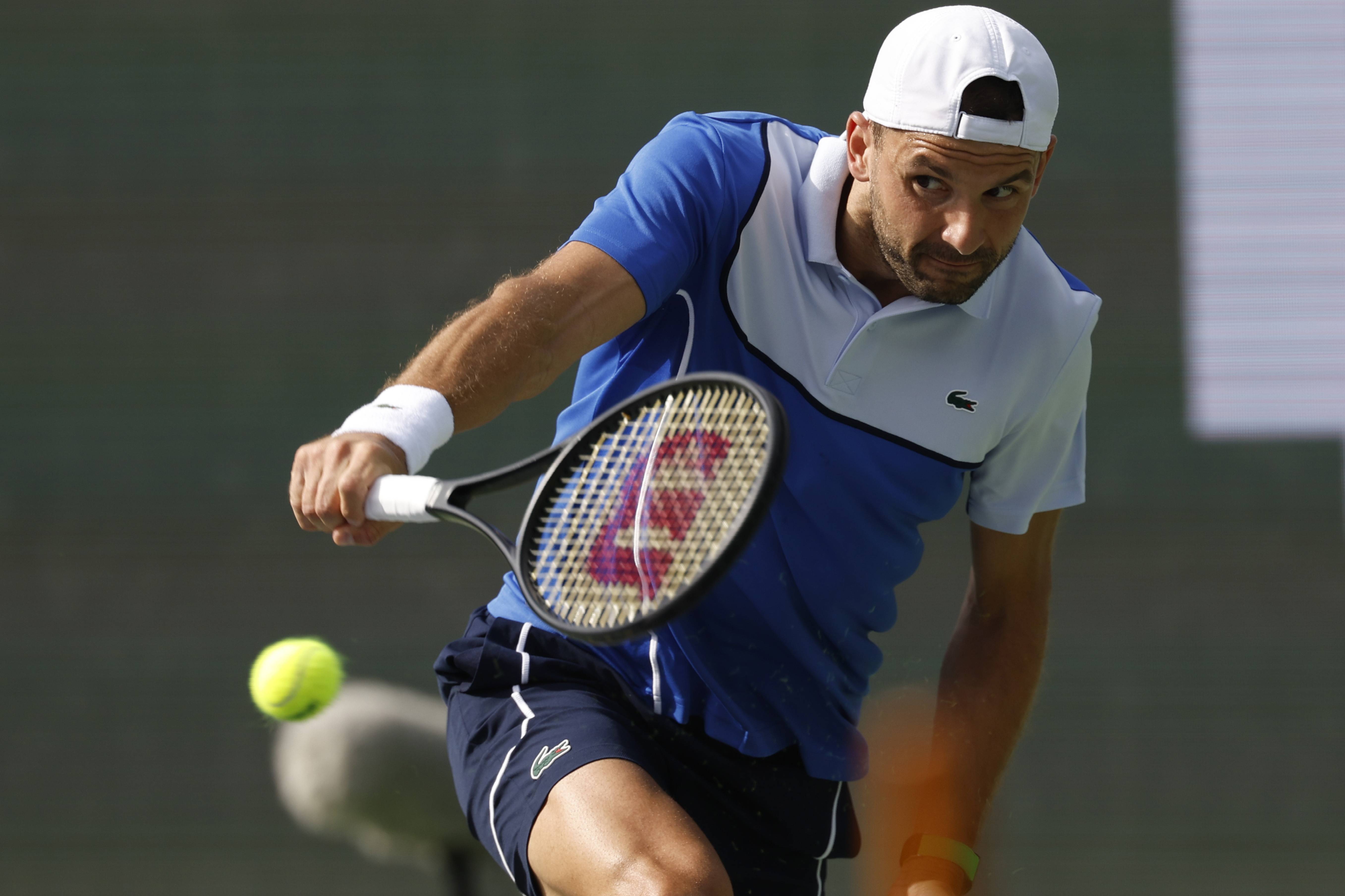 包含日本网球队横扫英国网球队，梅德韦杰夫打破历史纪录的词条