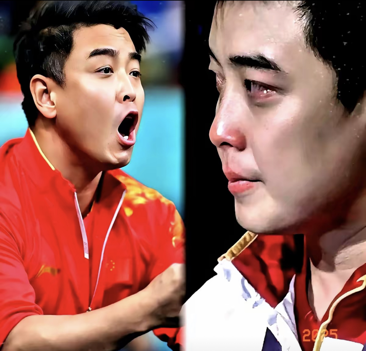 德国乒乓球队横扫比利时乒乓球队,王皓送出助攻的简单介绍 德国乒乓球队横扫比利时乒乓球队,王皓送出助攻的简单介绍