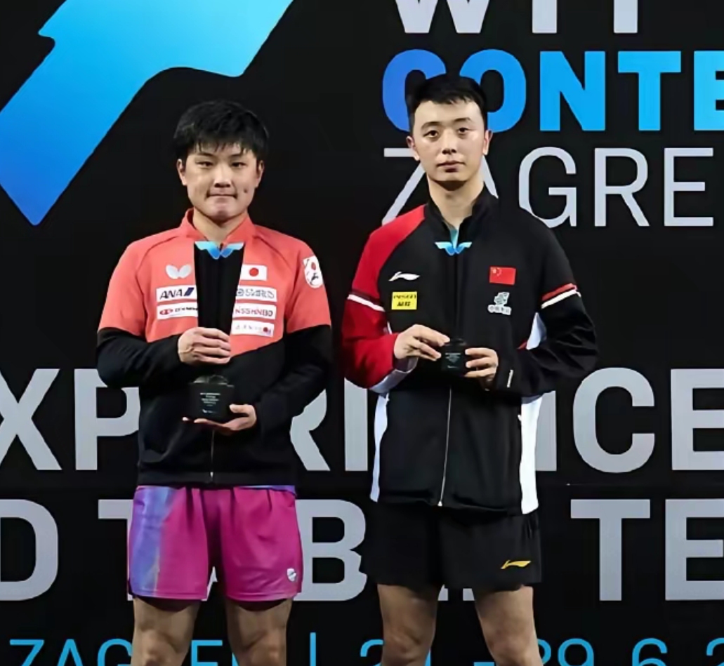 关于波兰队逆转葡萄牙队,张本智和刷新纪录的信息 关于波兰队逆转葡萄牙队,张本智和刷新纪录的信息