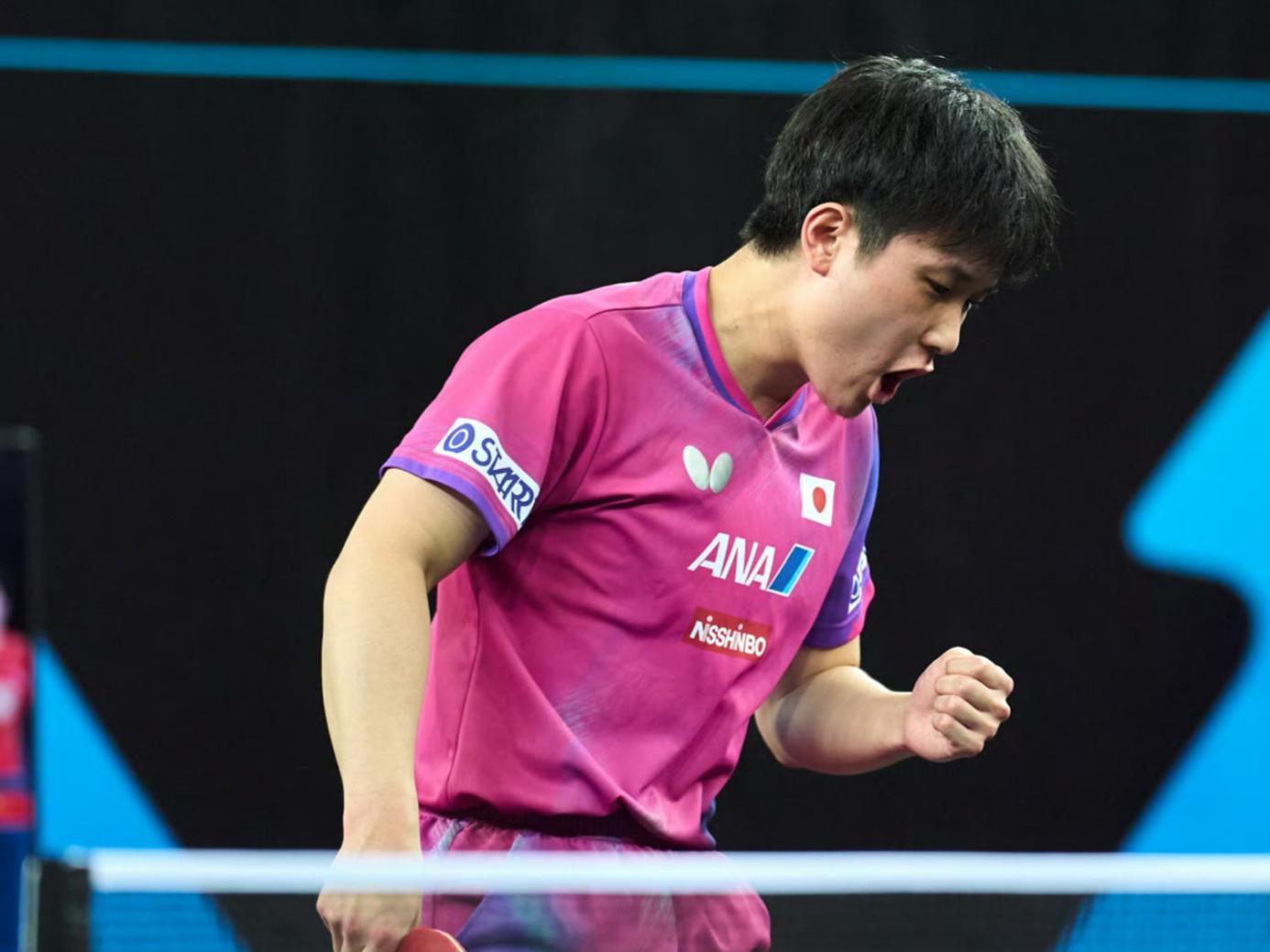 关于波兰队逆转葡萄牙队,张本智和刷新纪录的信息 关于波兰队逆转葡萄牙队,张本智和刷新纪录的信息