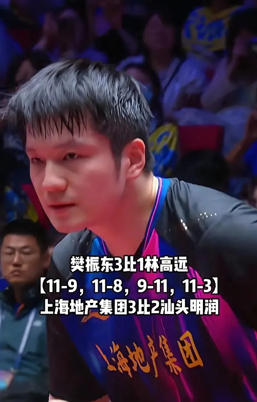 中国队翻盘波兰队,樊振东统治全场的简单介绍 中国队翻盘波兰队,樊振东统治全场的简单介绍